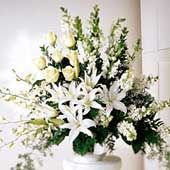 Funeral Flowers &  Sympathy F19 Tunisia